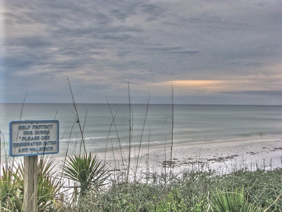 Florida's (chilly) Gulf Coast