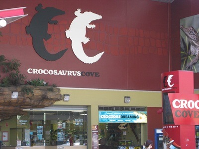 croc madness croc madness in Darwin