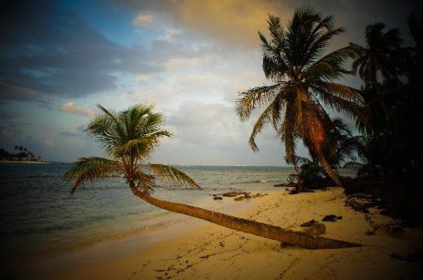 San Blas island with a palm tree leaning over the beach; photo by Runaway Brit
