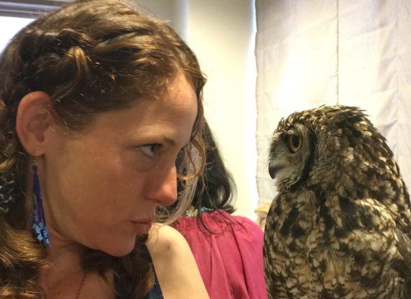 eye to eye with an owl