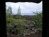The ocean view from our yurt in Hawaii
