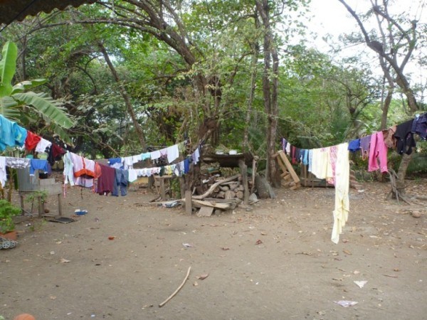 the backyard