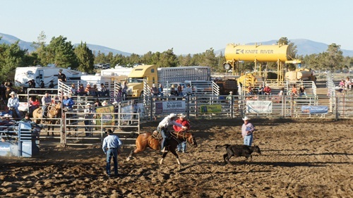 our first rodeo