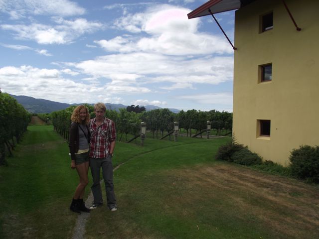 Wine tasting in Belnheim